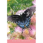 Promises on Velvet Wings: Poems of Faith, Family, Friends, and Fun - Paperback