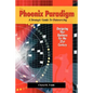 The Phoenix Paradigm - Paperback