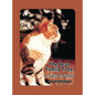 The Bean Family Tree: In English and Spanish - Hardcover