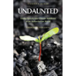 Undaunted - Paperback