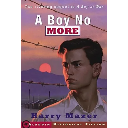 A Boy No More - Paperback