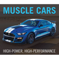 Muscle Cars: High-Power, High-Performance - Hardcover