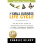 The Small Business Life Cycle - Second Edition: A No-Fluff Guide to Navigating the Five Stages of Small Business Growth - Paperback