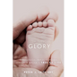 Shining Glory: Theological Reflections on Terrence Malick's Tree of Life - Paperback