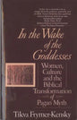 In the Wake of the Goddesses - Paperback