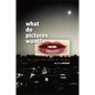 What Do Pictures Want?: The Lives and Loves of Images - Paperback