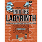 Into the Labyrinth: An Amazing Maze Challenge Adult Activity Book - Paperback