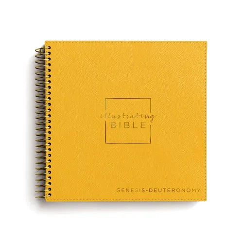 NIV Illustrating Bible, Genesis - Deuteronomy - Leather