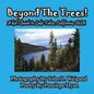 Beyond The Trees! A Kid's Guide To Lake Tahoe, USA - Paperback