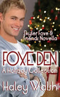 Foxe Den: A Holiday Collection of Skyler Foxe Short Stories - Paperback