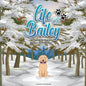 Life of Bailey: Bailey's First Winter - Paperback