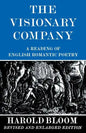 The Visionary Company: A Reading of English Romantic Poetry - Paperback