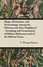 Magic, Divination, and Demonology Among the Hebrews and their Neighbours - Including and Examination of Biblical References and of the Biblical Terms - Paperback