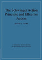 The Schwinger Action Principle and Effective Action - Paperback