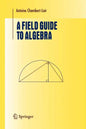 A Field Guide to Algebra - Paperback