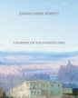 Country of the Pointed Firs - Paperback