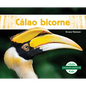 Calao Bicorne (Great Hornbills) - Library Binding
