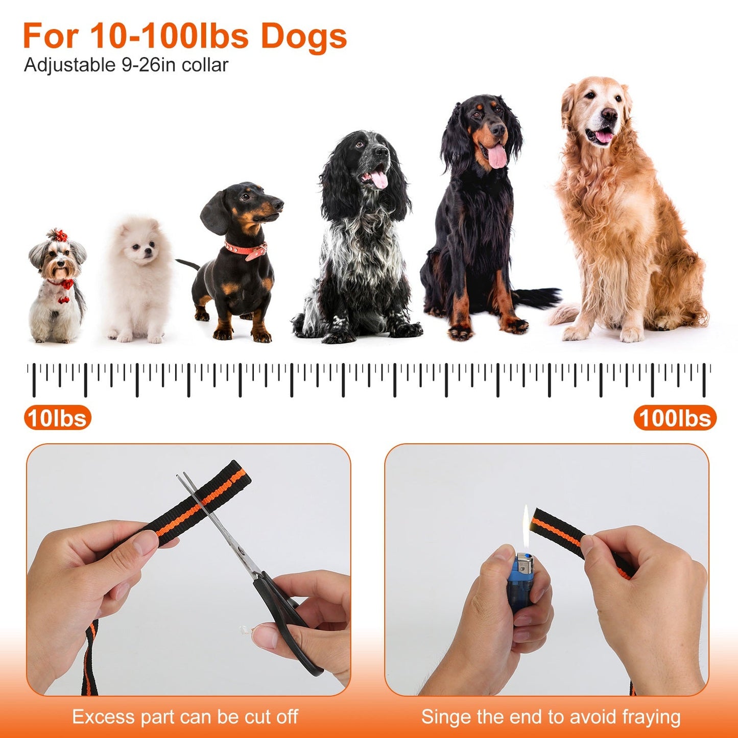 GBruno IPX7 Waterproof Dog Training Collar