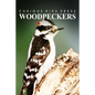 Woodpeckers - Curious Kids Press: Kids book about animals and wildlife, Children's books 4-6 - Paperback