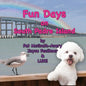 Fun Days on South Padre Island - Paperback