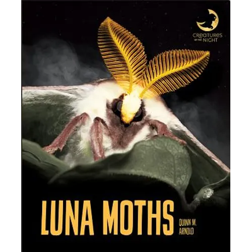 Luna Moths - Library Binding