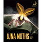 Luna Moths - Library Binding