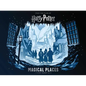 Harry Potter: Magical Places: A Paper Scene Book - Hardcover