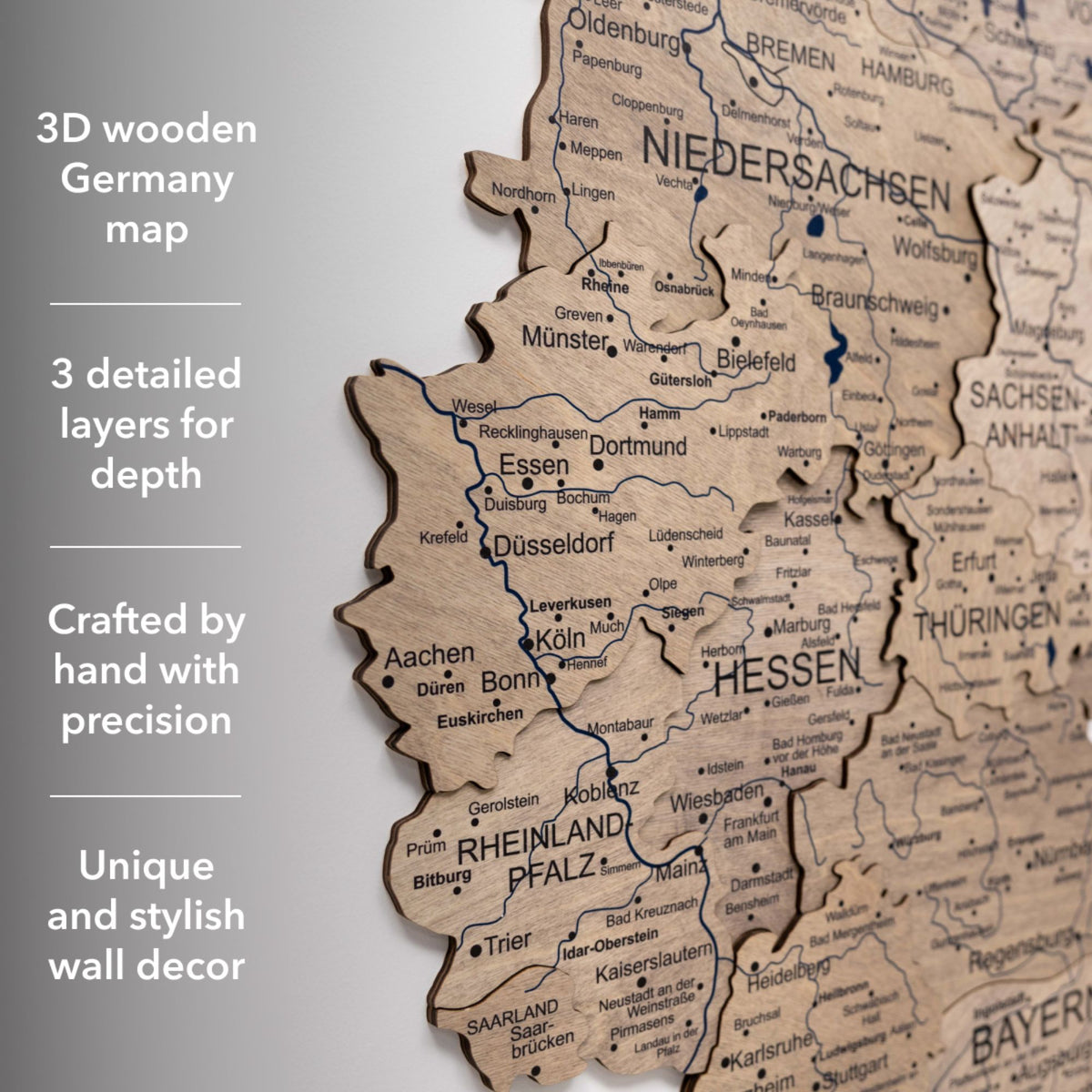3D Deutschland Holzkarte Terra