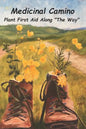 Medicinal Camino: Plant First Aid Along "The Way" - Paperback