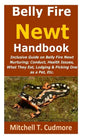 Belly Fire Newt Handbook: : Inclusive Guide on Belly Fire Newt Nurturing; Conduct, Health Issues, What They Eat, Lodging & Picking One as a Pet, Etc. - Paperback