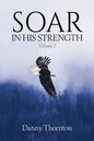 Soar in His Strength, Volume 2 - Paperback