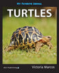 My Favorite Animal: Turtles - Paperback