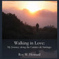 Walking in Love: My Journey along the Camino de Santiago - Paperback