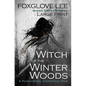 The Witch of the Winter Woods: Large Print: A Paranormal Christmas Tale - Paperback