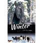 Winter with Horses - Paperback
