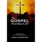 The Gospel According to Job - Paperback