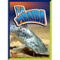 La Piraiba - Hardcover