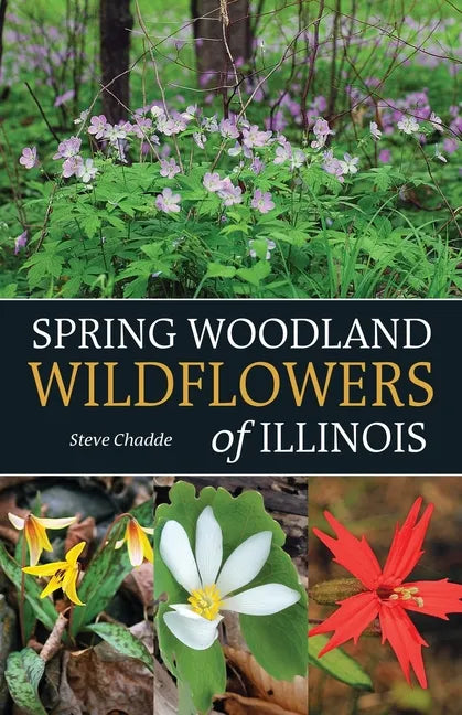 Spring Woodland Wildflowers of Illinois - Paperback