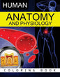 Anatomy & Physiology Coloring Book - Paperback