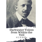 Darkwater Voices from Within the Veil - Paperback