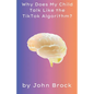 Why Does My Child Talk Like the TikTok Algorithm? - Paperback