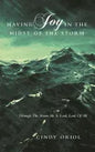Having Joy in the Midst of the Storm: Through the Storm He Is Lord, Lord of All - Paperback