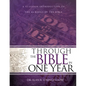 Through the Bible in One Year: A 52-Lesson Introduction to the 66 Books of the Bible (Bible Study Guide for Small Group or Individual Use) - Paperback