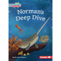 Norman's Deep Dive - Paperback