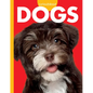 Curious about Dogs - Library Binding