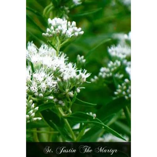 St. Justin The Martyr - Paperback