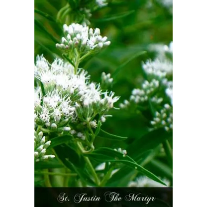 St. Justin The Martyr - Paperback