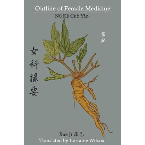 Outline of Female Medicine - Paperback