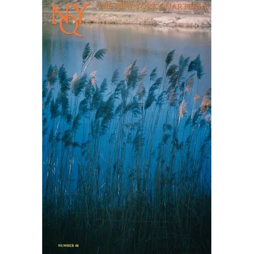 The New York Quarterly, Number 48 - Paperback