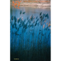 The New York Quarterly, Number 48 - Paperback
